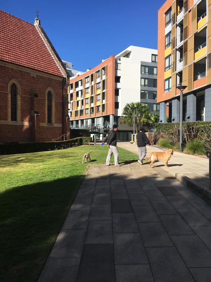 Panoramic Views In Luxurious Brand New Apartment Sydney Exterior foto
